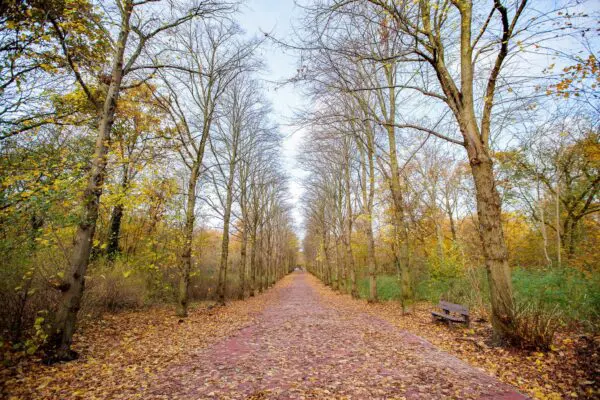 Nature in Scheveningen